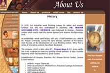 Web Development